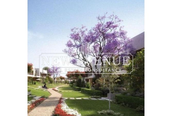 8049912 - Property Image 3