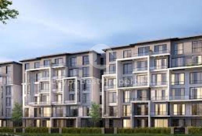 8392289 - Property Image 3