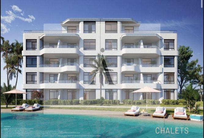 7981966 - Property Image 3