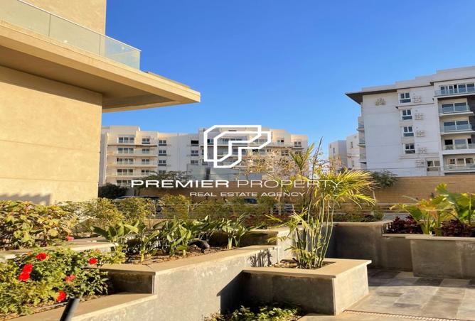 8475084 - Property Image 3