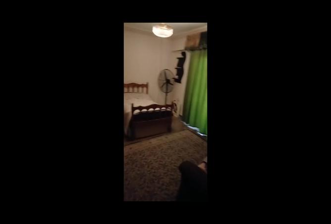 7975141 - Property Image 2