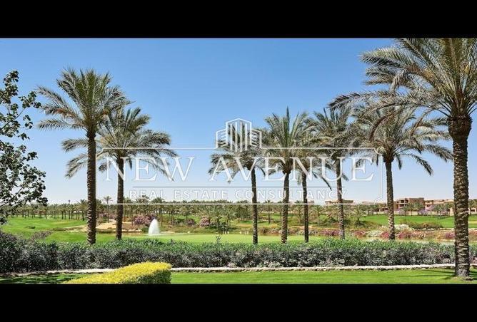 8335072 - Property Image 3