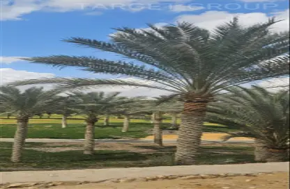 فيلا - 4 غرف نوم - 6 حمامات للبيع في قطامية ديونز - كمبوندات القطامية - القطامية - مدينة القاهرة الجديدة - القاهرة