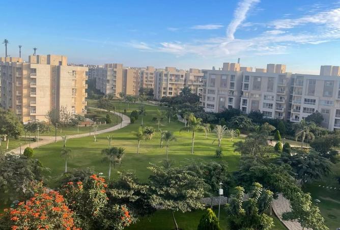 8528104 - الصورة الرئيسية للعقار