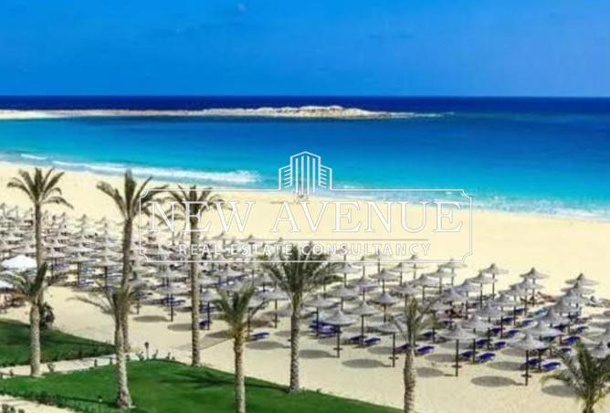 8345071 - Property Image 3