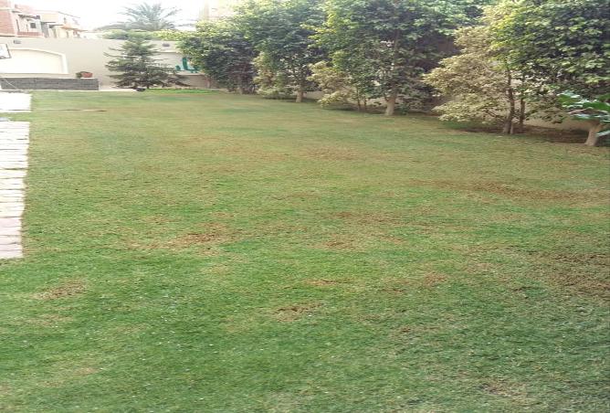 7987847 - Property Image 2