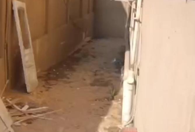 8397738 - صورة العقار 3