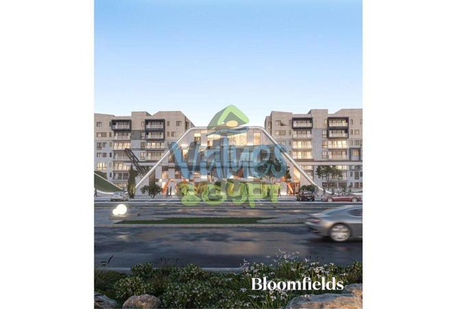 8441884 - Property Image 2