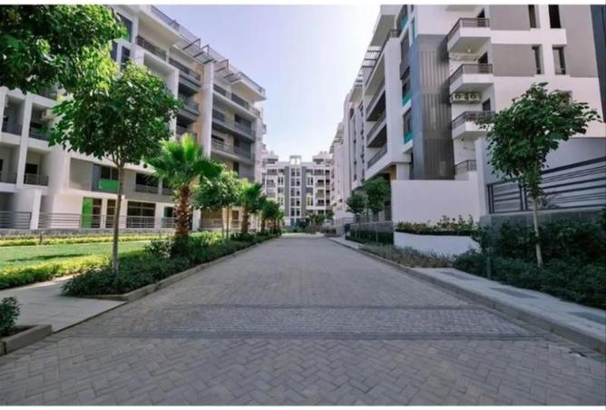 8016213 - Property Image 3