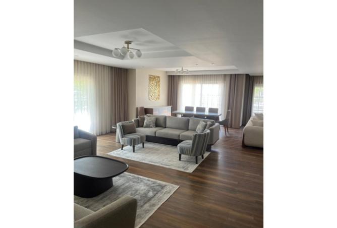 8478939 - Property Image 2