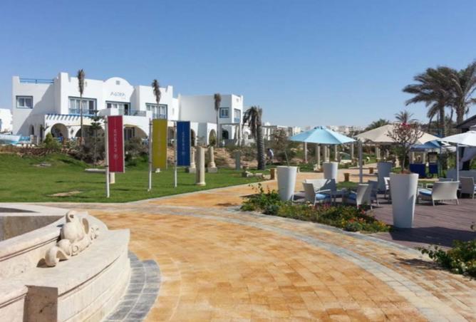 8295184 - Property Image 3