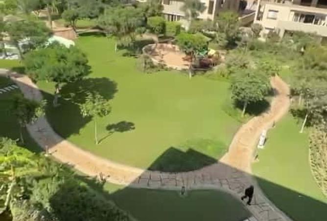 7963111 - صورة العقار 2