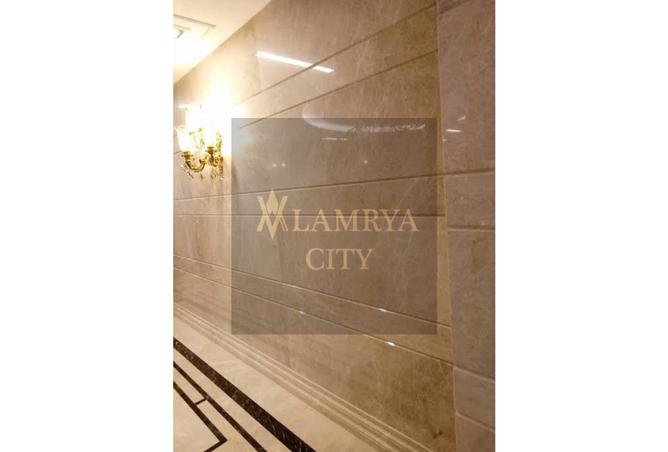 7977393 - صورة العقار 3