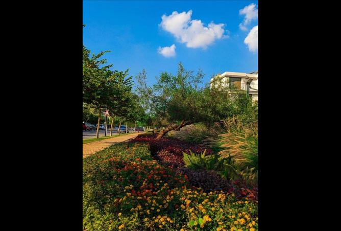 7949195 - صورة العقار 3