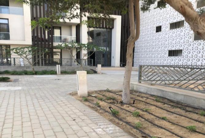 8136986 - Property Image 3