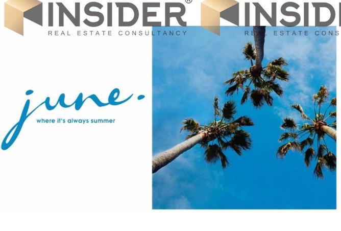 8239679 - الصورة الرئيسية للعقار