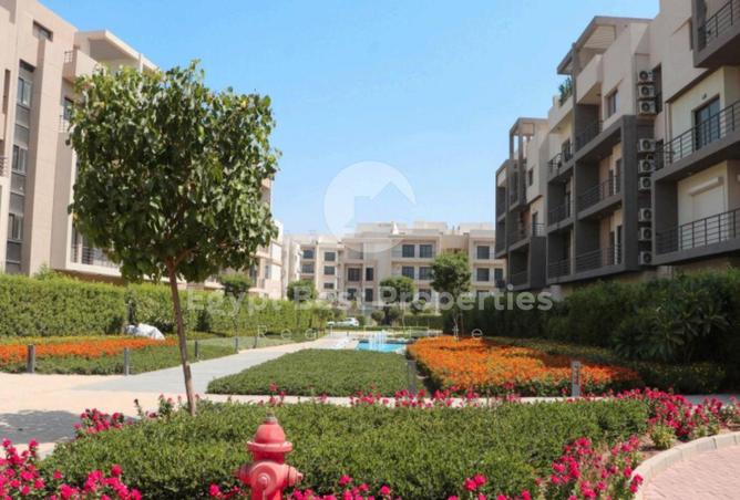 8275488 - صورة العقار 3