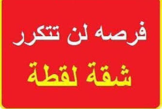 8225191 - الصورة الرئيسية للعقار