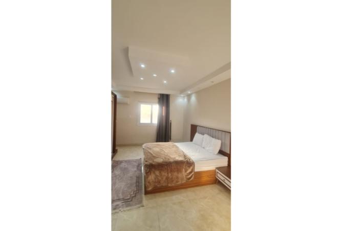 8136067 - Property Image 3