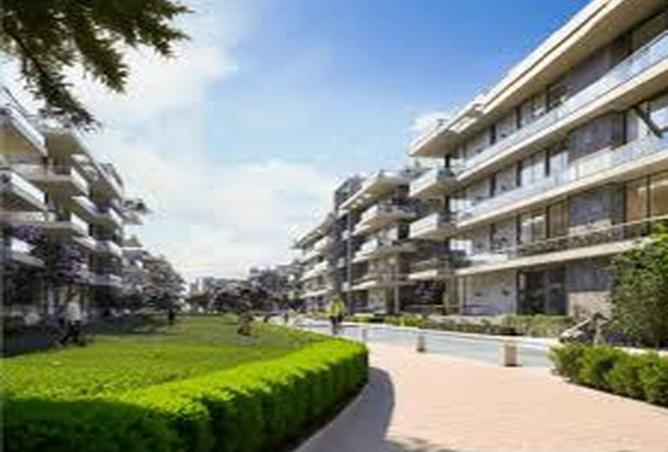 8394671 - Property Image 2