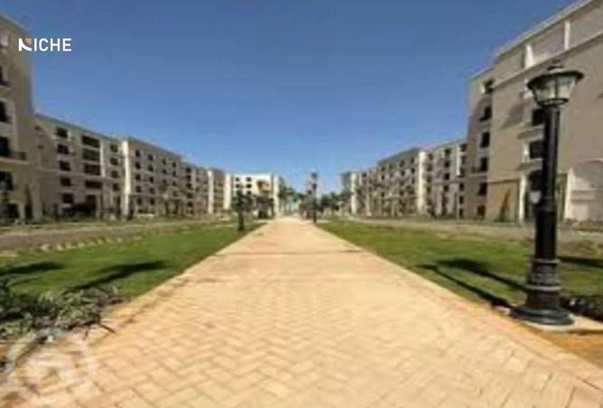 8084978 - Property Image 3