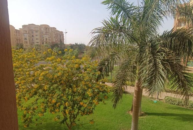 8184141 - الصورة الرئيسية للعقار