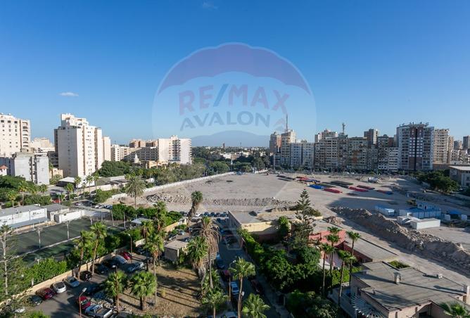 7988212 - Property Image 2