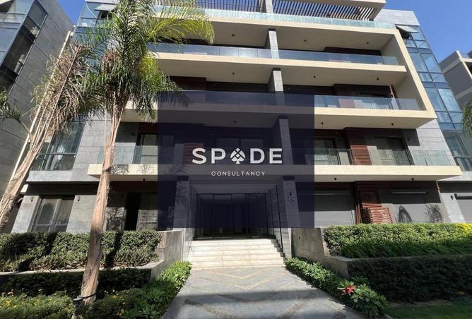 8178801 - Property Image 3