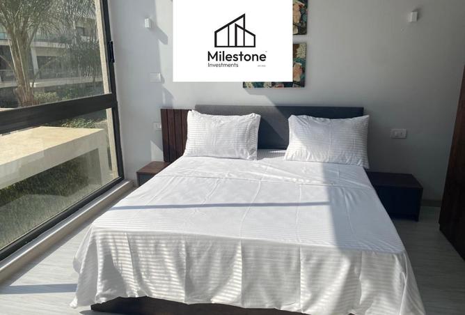 8186243 - Property Image 3