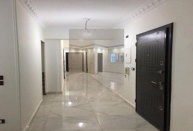 8135509 - Property Image 3
