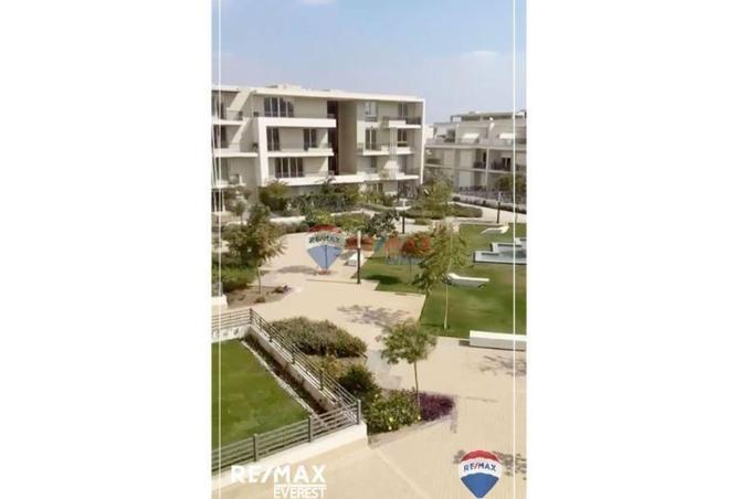 8047126 - Property Image 3
