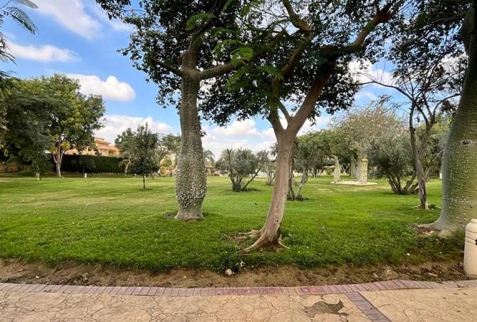 8498631 - الصورة الرئيسية للعقار