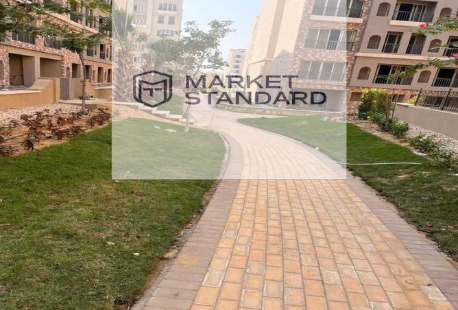 8246169 - صورة العقار 3