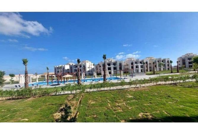 7908817 - صورة العقار 2