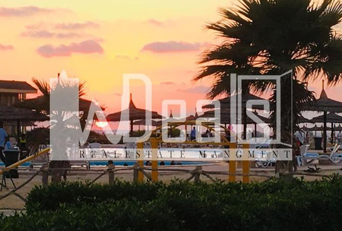 8178965 - صورة العقار 2