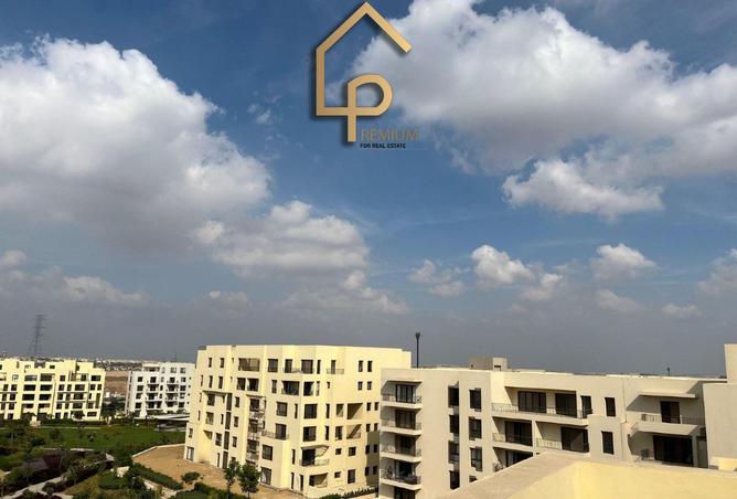 8176931 - Property Image 3