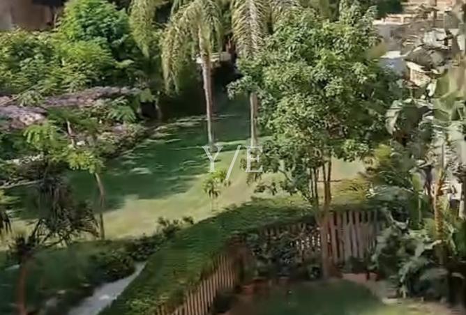 8170304 - الصورة الرئيسية للعقار