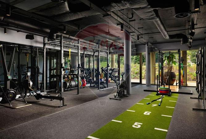 5647521 - Property Image 3