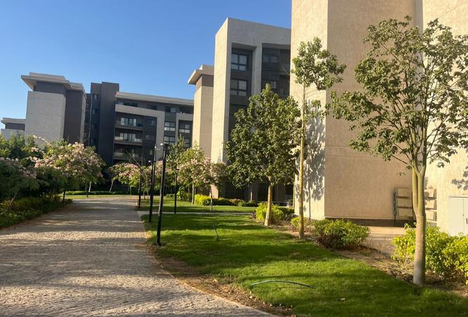 8336788 - صورة العقار 3