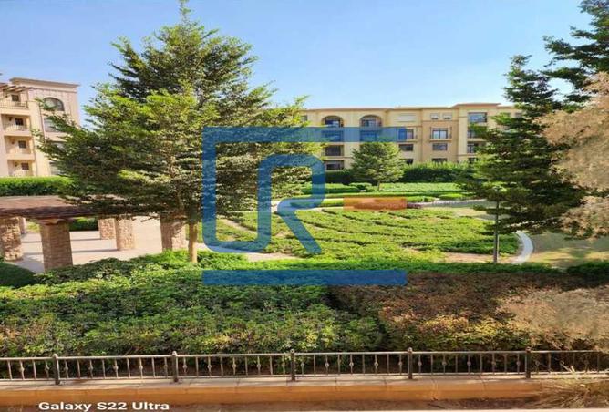 8150244 - Property Image 2