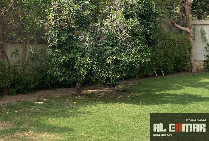8098429 - Property Image 3