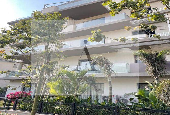 8224150 - Property Image 2