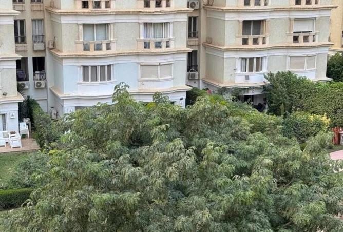 8181760 - صورة العقار 3