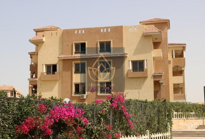 8406043 - Property Image 3