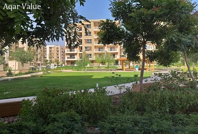 8195556 - صورة العقار 3