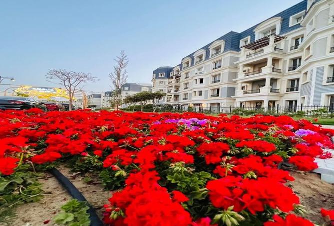 8196001 - صورة العقار 3