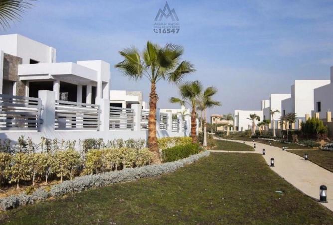 8251196 - صورة العقار 2