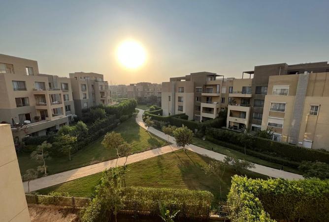 8087168 - Property Image 2