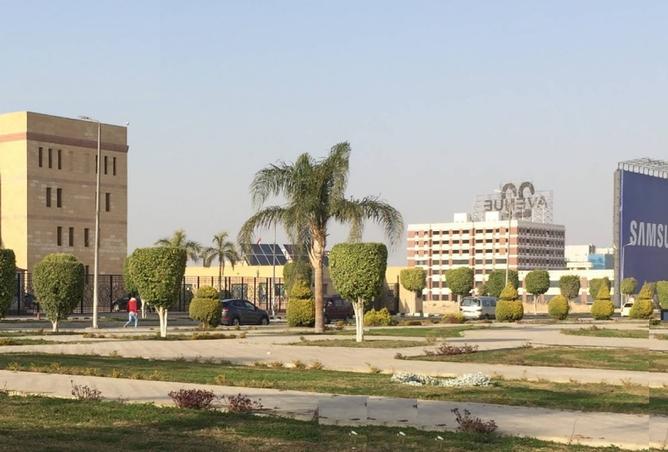 8449637 - صورة العقار 3