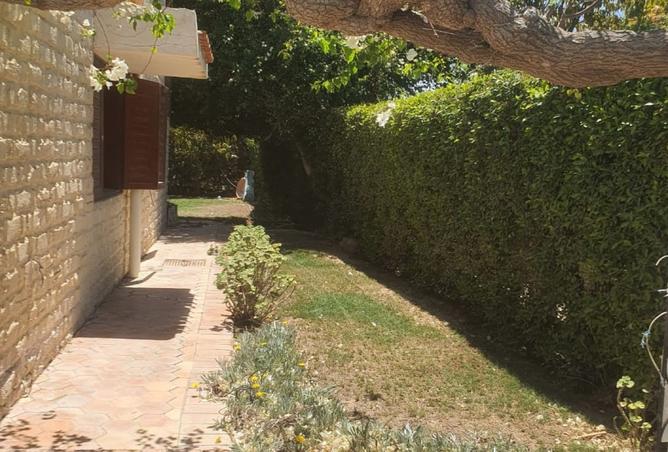 7956564 - صورة العقار 2